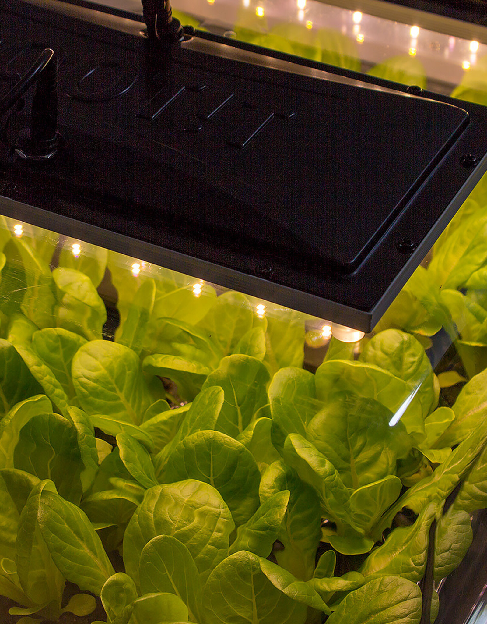 ROOTiT ROOT!T Full Spectrum LED Grow Light - Blisterpack