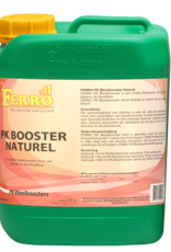 Ferro Ferro Pk booster naturel 5L