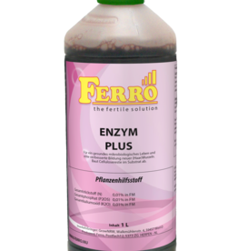 Ferro Ferro Enzym plus 1L