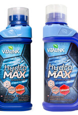 VitaLink VitaLink Hydro Max Bloom HW 1L A&B Set