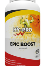 Hy-Pro Hy-Pro epic boost hydro 500ml