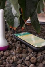 Air Comfort Air Comfort Purple - Temperature & Humidity Sensor - Bluetooth