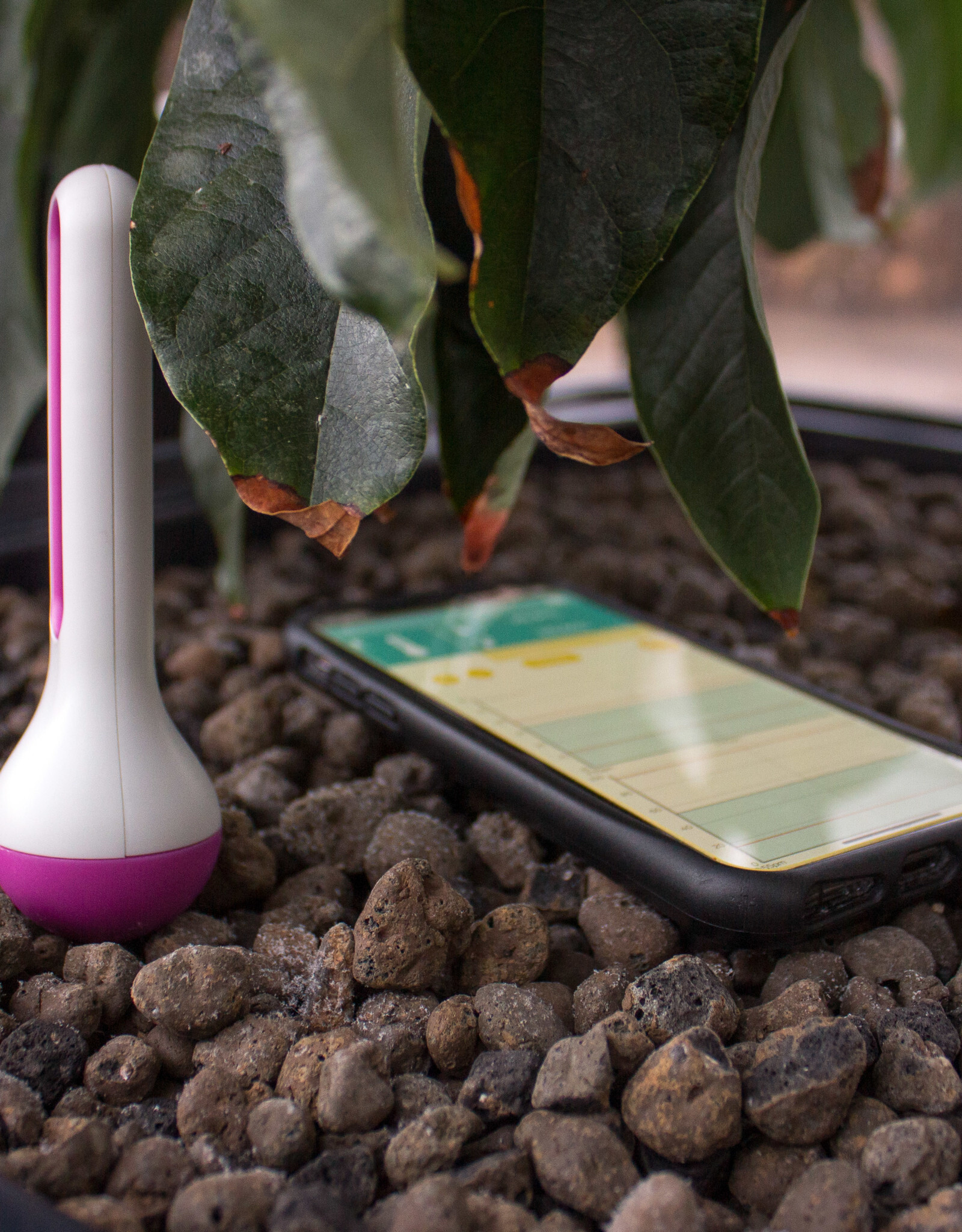 Air Comfort Air Comfort Purple - Temperature & Humidity Sensor - Bluetooth