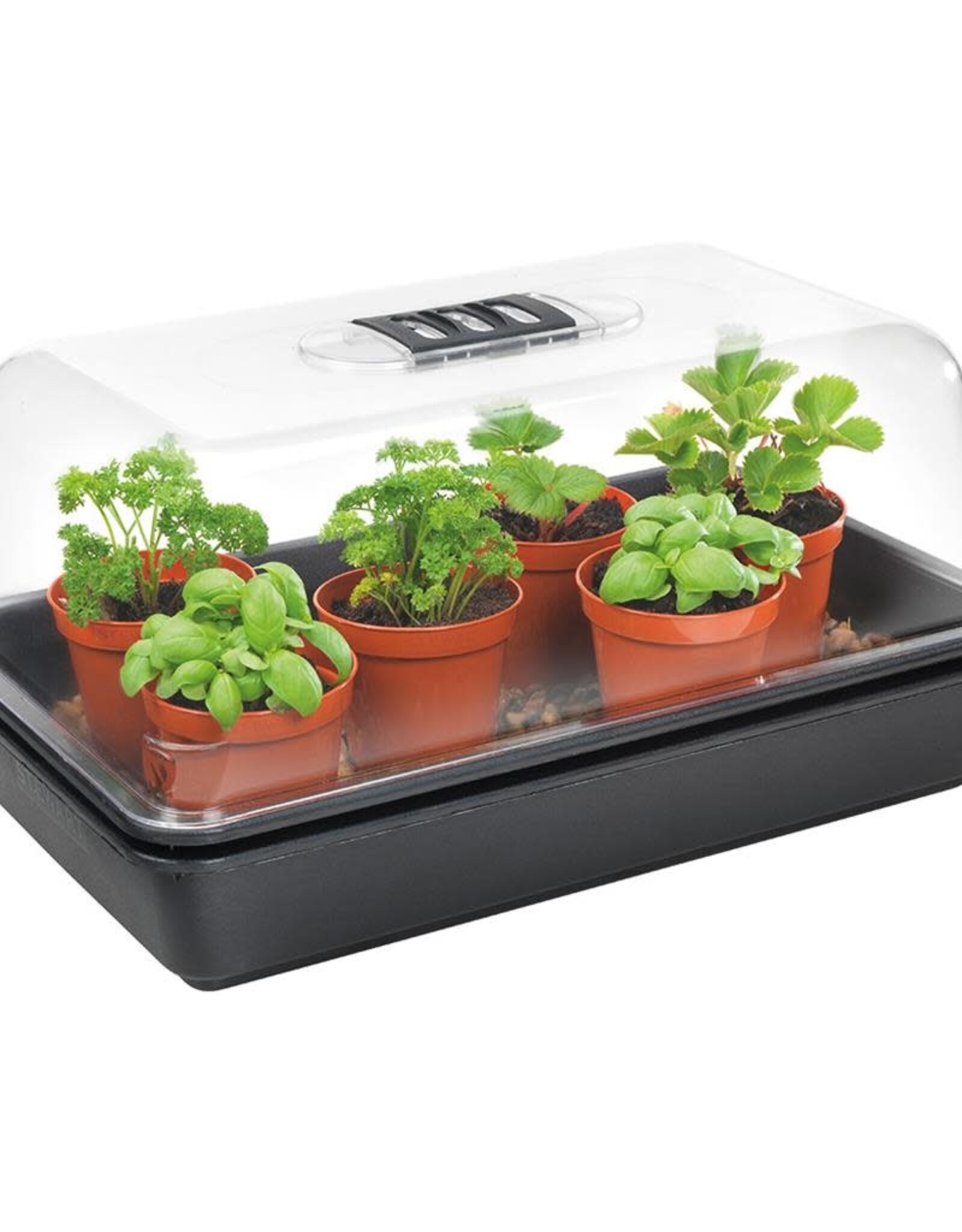 Stewart Stewart's Essentials Medium Heated Propagator - EU - 38cm x 24cm x 21.5cm