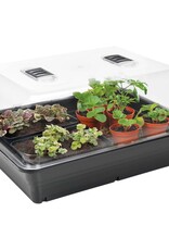 Stewart Stewart's Essentials Large Heated Propagator - EU - 52cm x 42cm x 28cm