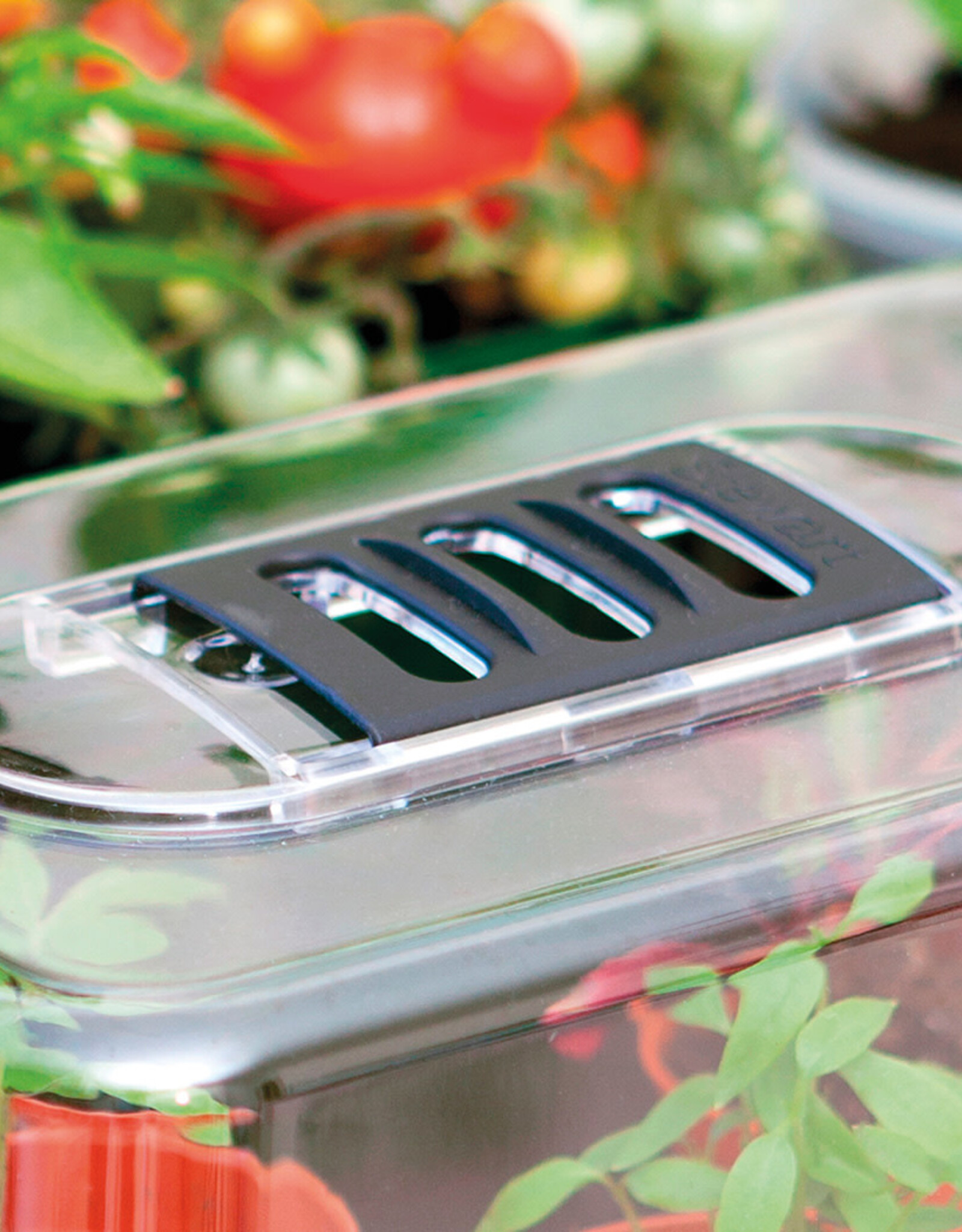 Stewart Stewart's Large Variable Heated Propagator - 52cm x 42cm x 28cm