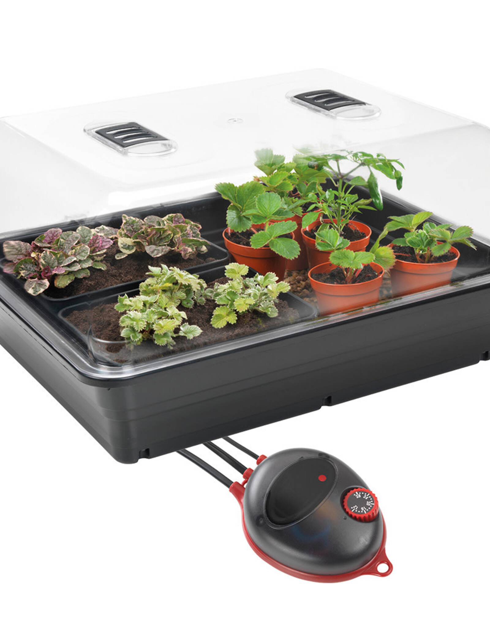 Stewart Stewart's Large Variable Heated Propagator - 52cm x 42cm x 28cm