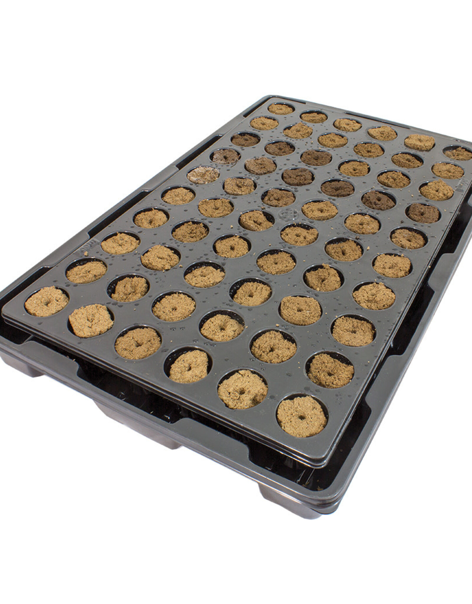 ROOTiT ROOTiT Large Value Rooting Sponge Propagation Kit