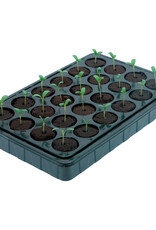 ROOTiT ROOTiT Value Rooting Sponge Propagation Kit