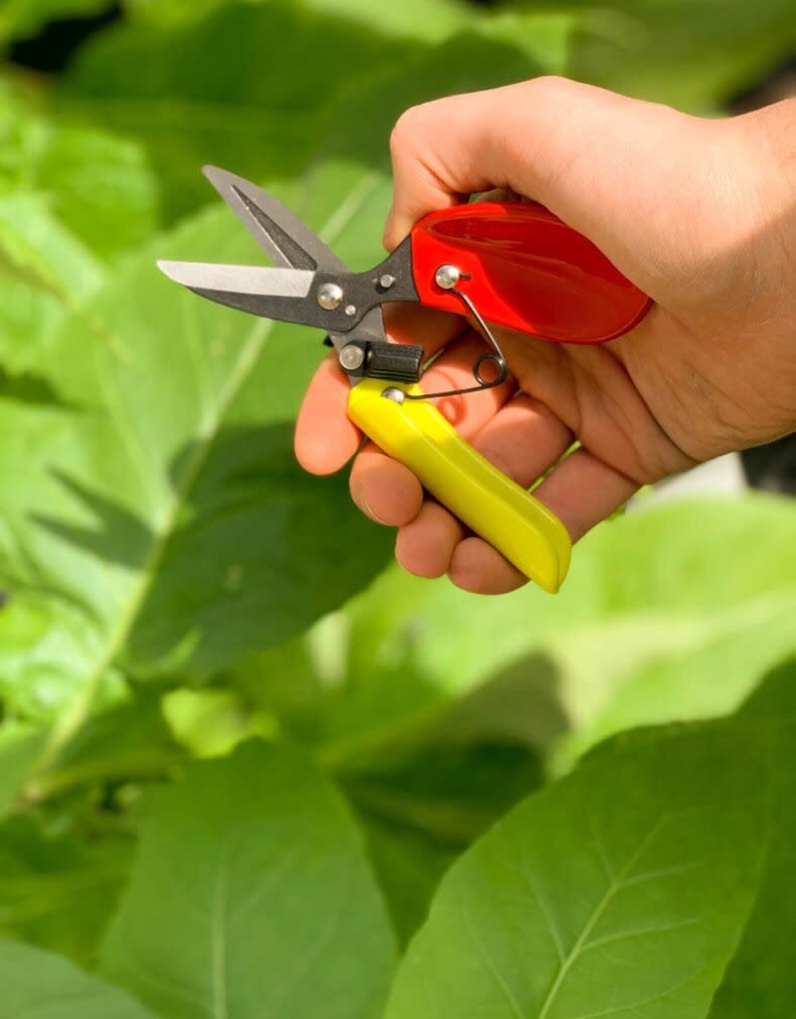 Wit merk Oksinto PRO H200 - Pruning Shears - with Finger Grip