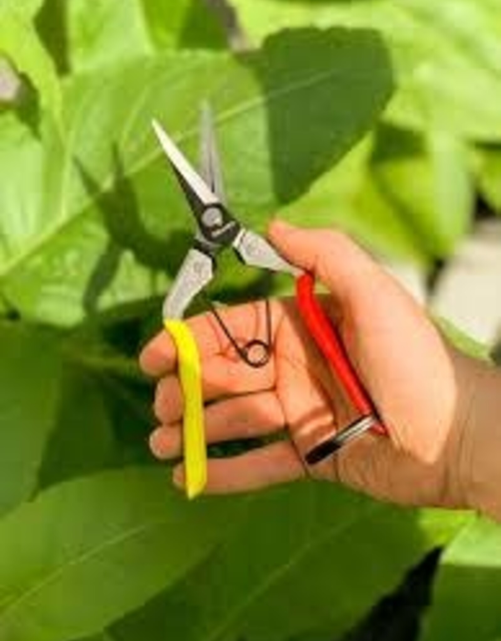 Wit merk Oksinto PRO H420 - Pruning Scissors - with Finger Grip
