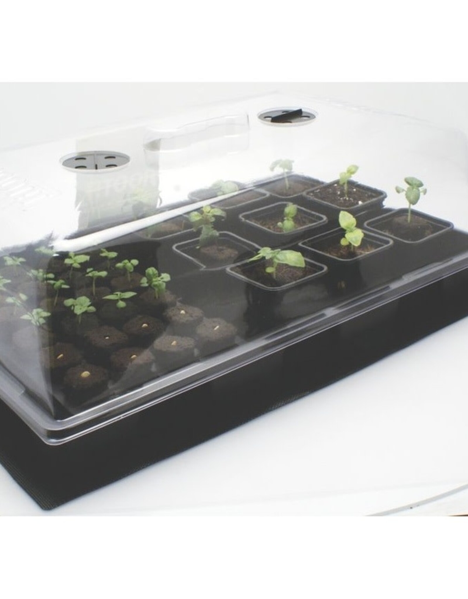 ROOTiT ROOTiT Heat Mat - Medium (400mm x 600mm) - 25W
