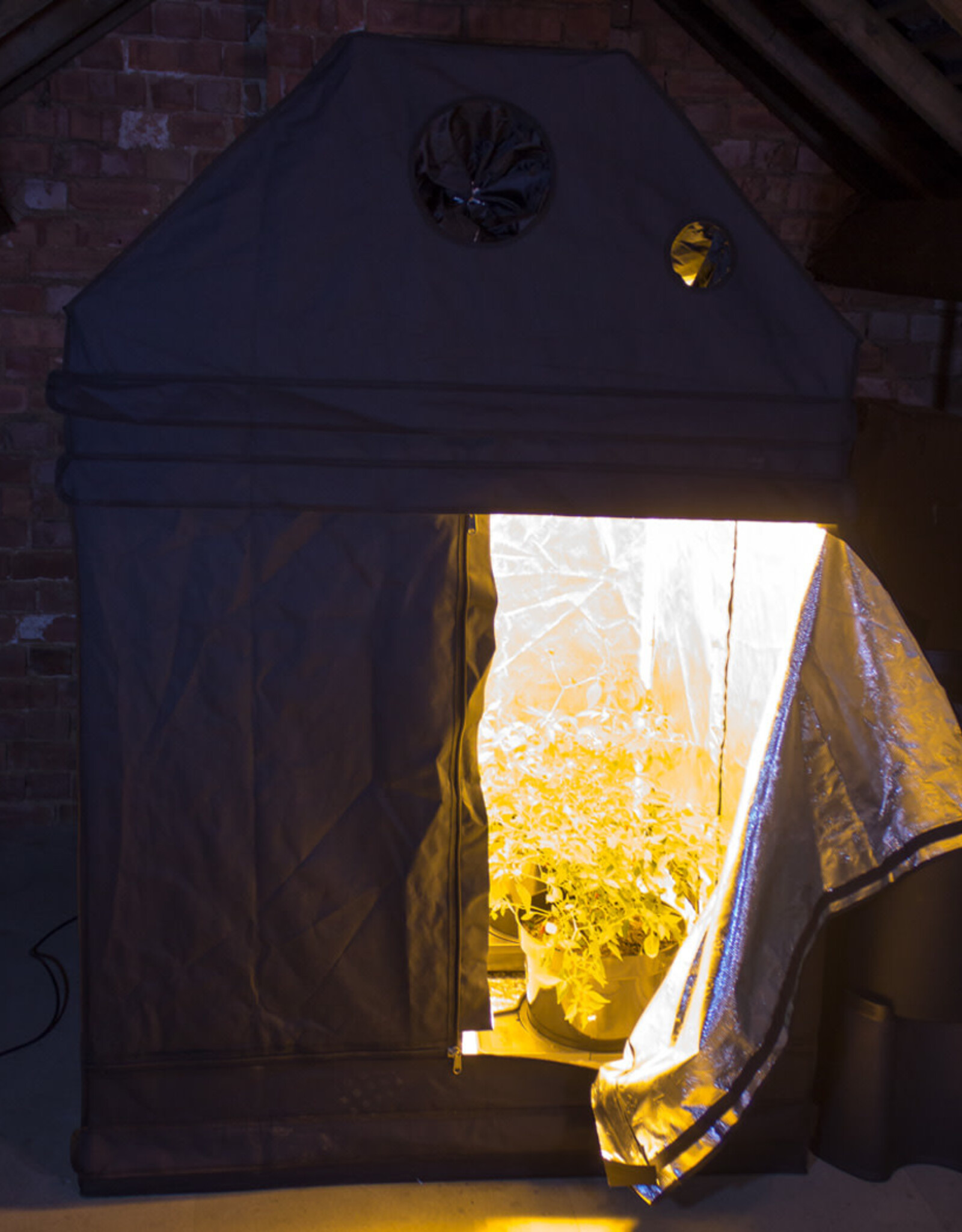 LightHouse LightHouse LOFT 1.2m² Tent - 1.2m x 1.2m x 1.8m