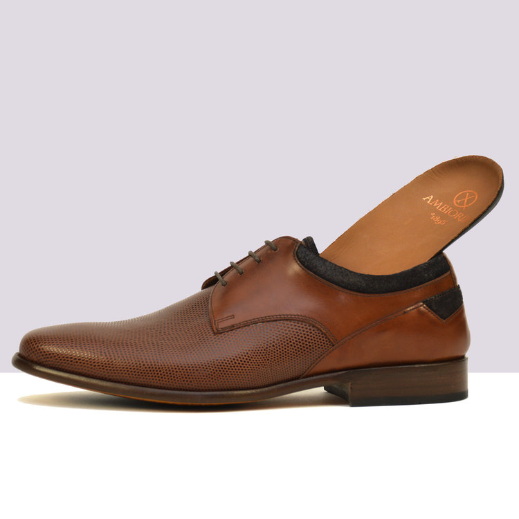 Ambiorix ALDO-SUP VIT LUCERT.NUT+NB DK BRWN+OTT.N.BLUE 105-SUP INSERT