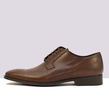 Ambiorix ARTIST NEW BOX BROWN TT