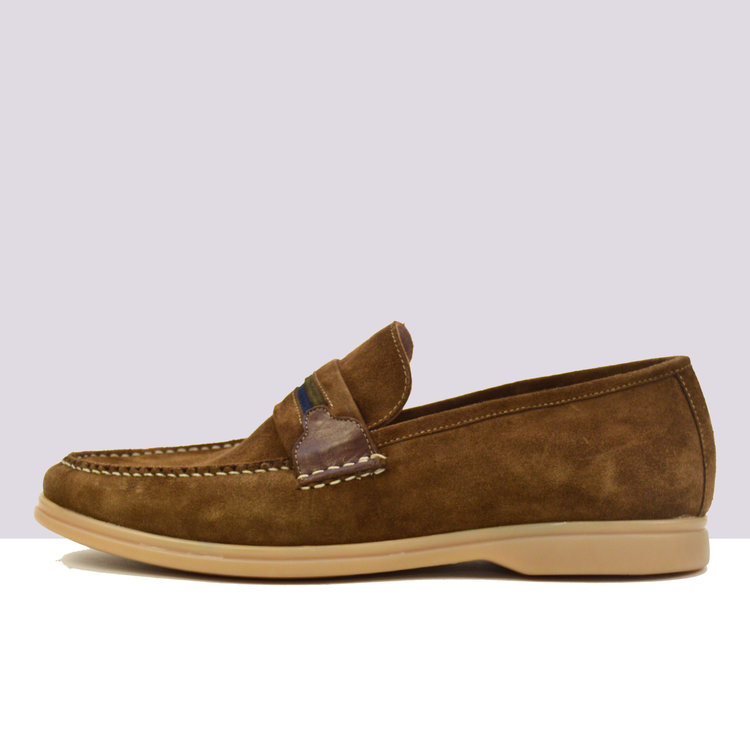 Ambiorix GINOLA-2 ALBI.SIGAR+SU.GR MIL+SU.GR BLU+CAR.SI.863 SOMMELIER