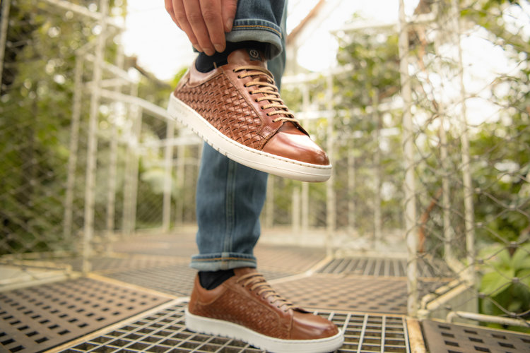 Ambiorix GIULIO PARMA COL 09 MID BROWN 5365 GIORDAN WHITE