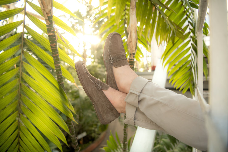 Ambiorix ISOLA ALBION ST.WINDOW COCCO+ALBION COCCO 2192 BAZ MIEL