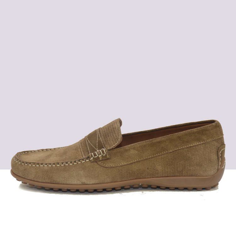 Ambiorix ISOLA ALBION ST.WINDOW COCCO+ALBION COCCO 2192 BAZ MIEL