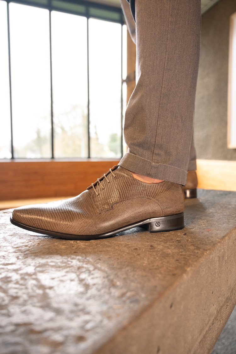 Ambiorix JURASSIC DELAVE EDENS FUMO+SU.COCCO+CAFE TT 813 TATTOO BLU/B