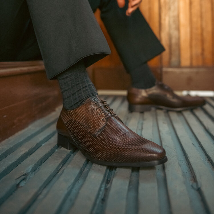 Ambiorix LATINO-1 ALVEARE MARRON+TUCS.CAFE+SU.MILIT.1504 AMBI 01 BRWN