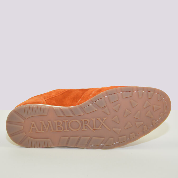 Ambiorix JERRY SENSO CANELLA+GROOVY CANELLA+BURN. BL 2468 RACING A177