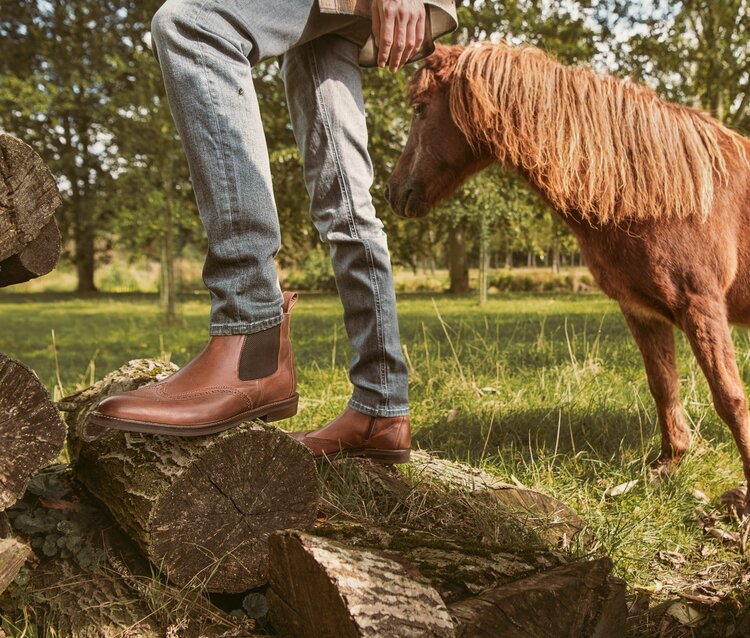 Ambiorix NOMERA-SUP ELYSEE TOBBACCO 126-SUP CREPEX MARRON A190