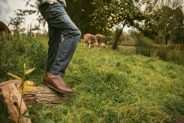 Ambiorix ICARIUS BURNISH OAK FUMED 2468 RACING A130 CASTANO