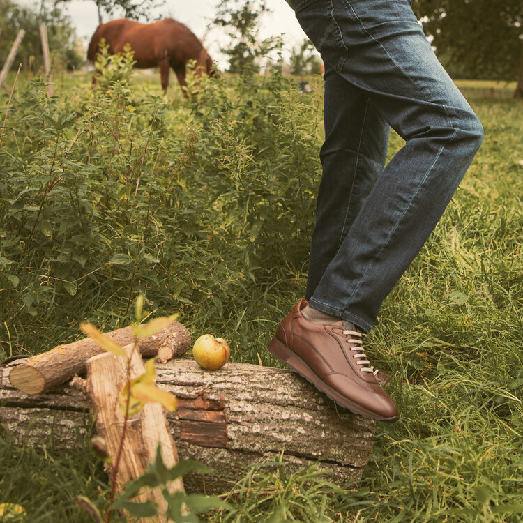 Ambiorix ICARIUS BURNISH OAK FUMED 2468 RACING A130 CASTANO