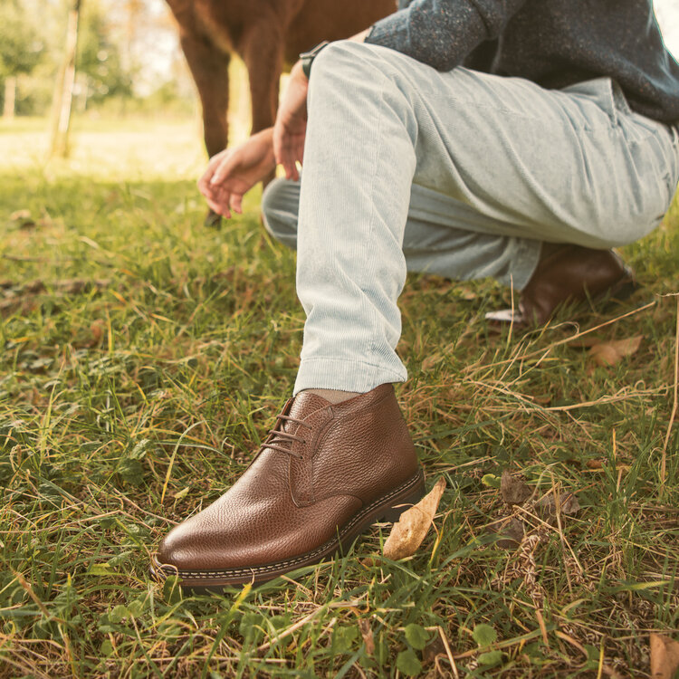 Ambiorix JAMAL COUNTRYCALF  DRK BROWN 842 -H NORW/ MID + COUNTRY