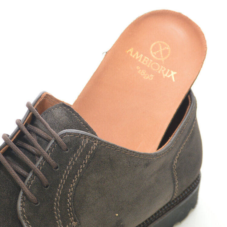 Ambiorix NOVARA-SUP SUEDE WOLF EBANO 126-SUP COUNTRY A187