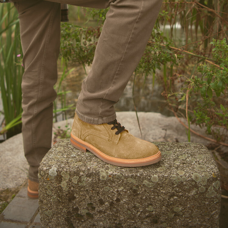 Ambiorix NEPAL SMOKEY RECIFE 842 -H CREPEX LODO A189