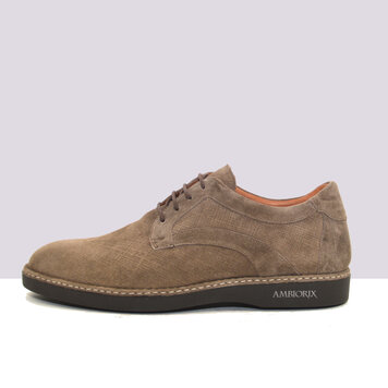 Ambiorix MASSA SUEDE WOLF ST. LINO