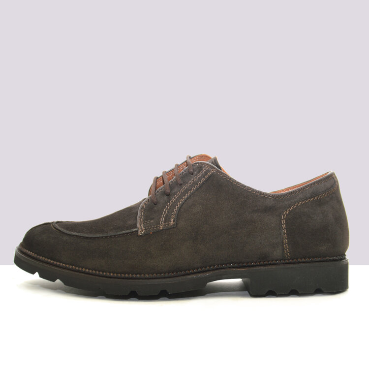 Ambiorix NOVARA-SUP SUEDE WOLF EBANO 126-SUP COUNTRY A187
