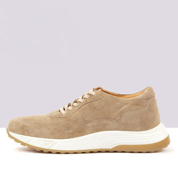 Ambiorix OLIVER SUEDE SENSO COCCO