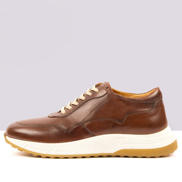 Ambiorix OLIVER BURNISH OAK FUMED