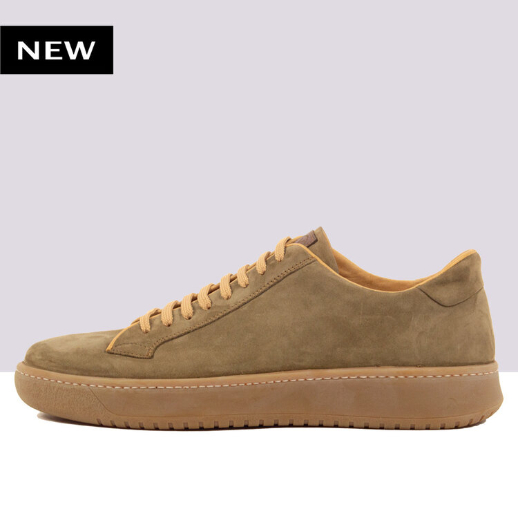 Ambiorix PISTOIA NUBUCK TAUPE 248-SUP BERRY MIEL