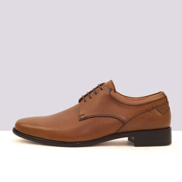 Ambiorix ALDO-SUP ISEO NOCE