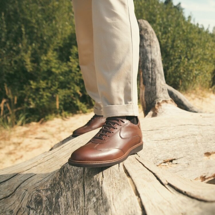 Ambiorix PAXTON BURNISH OAK FUMED 2468 SPRINT A215 BROWN