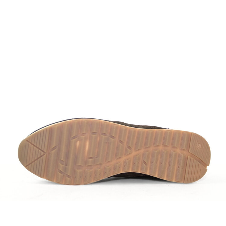 Ambiorix RIVARIOS SUEDE SENSO AFRICA 243 PANAMA MIEL