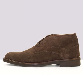 Ambiorix NOTINO SUEDE WOLF EBANO