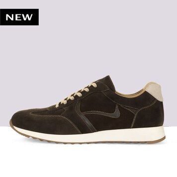 Ambiorix RIVARIOS SUEDE SENSO AFRICA