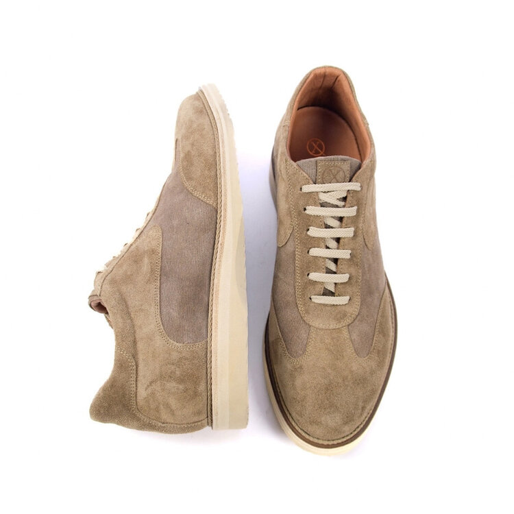 Ambiorix PAXTON SUEDE SENSO COCCO 2468 SPRINT A228 AVORIO