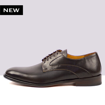 Ambiorix REGO BURNISH TDM