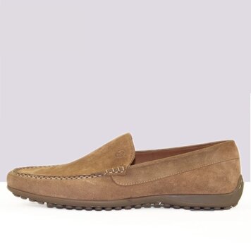 Ambiorix MALLORCA SUEDE SENSO NUT