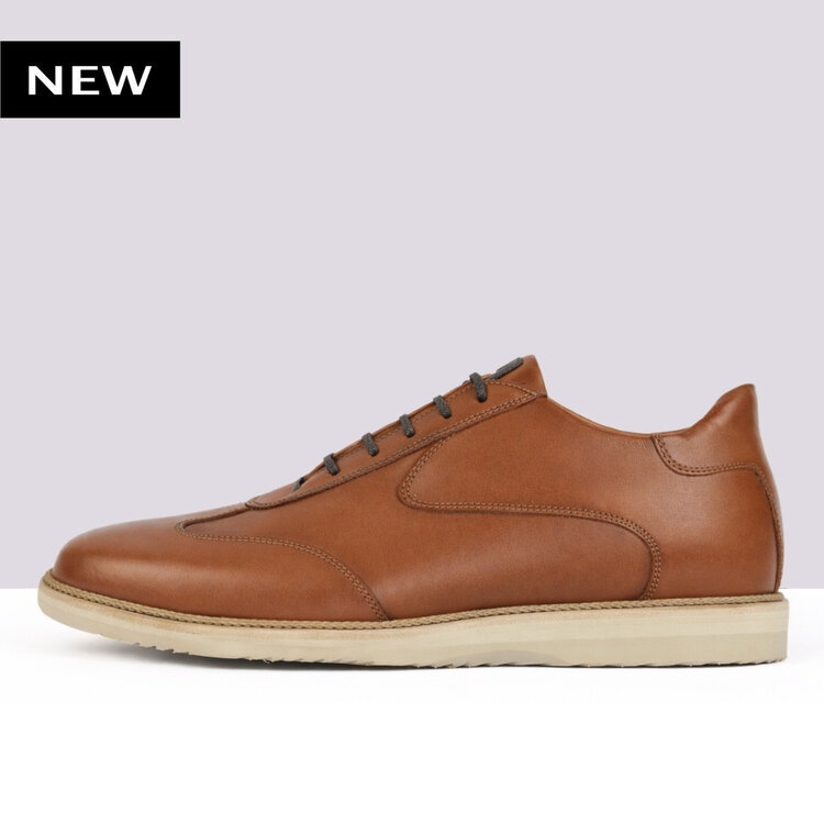 Ambiorix PAXTON BURNISH OAK 2468 SPRINT A228 AVORIO