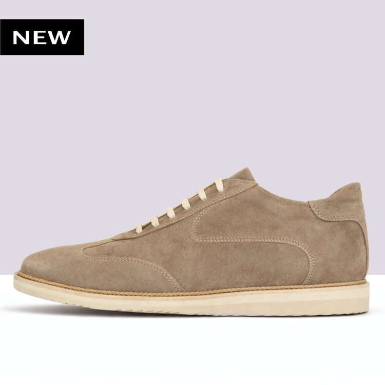 Ambiorix PAXTON SUEDE SENSO COCCO 2468 SPRINT A228 AVORIO