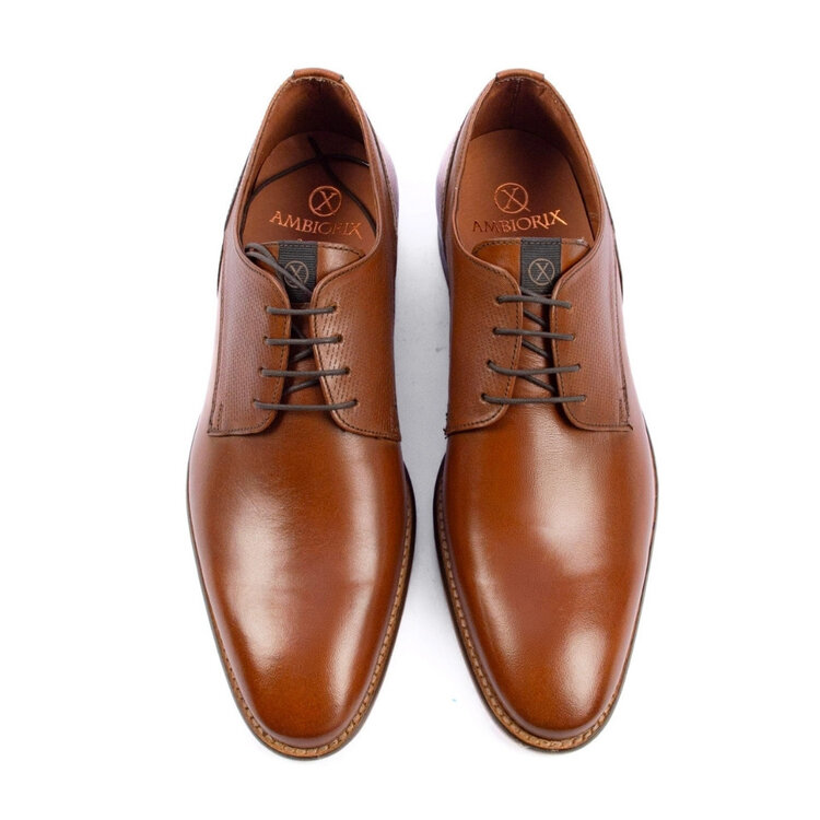 Ambiorix GABRIELLO BURNISH OAK 813 -8 AVENUE GOLD NICO