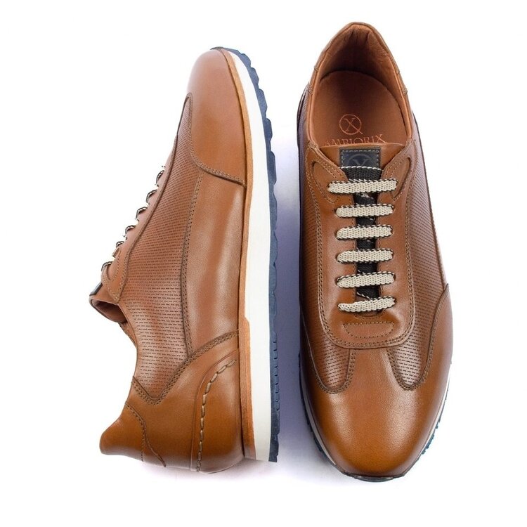 Ambiorix ICARIUS BURNISH AMARETTO+TUCSON COP.DARK BROWN 2468 CITYRUN