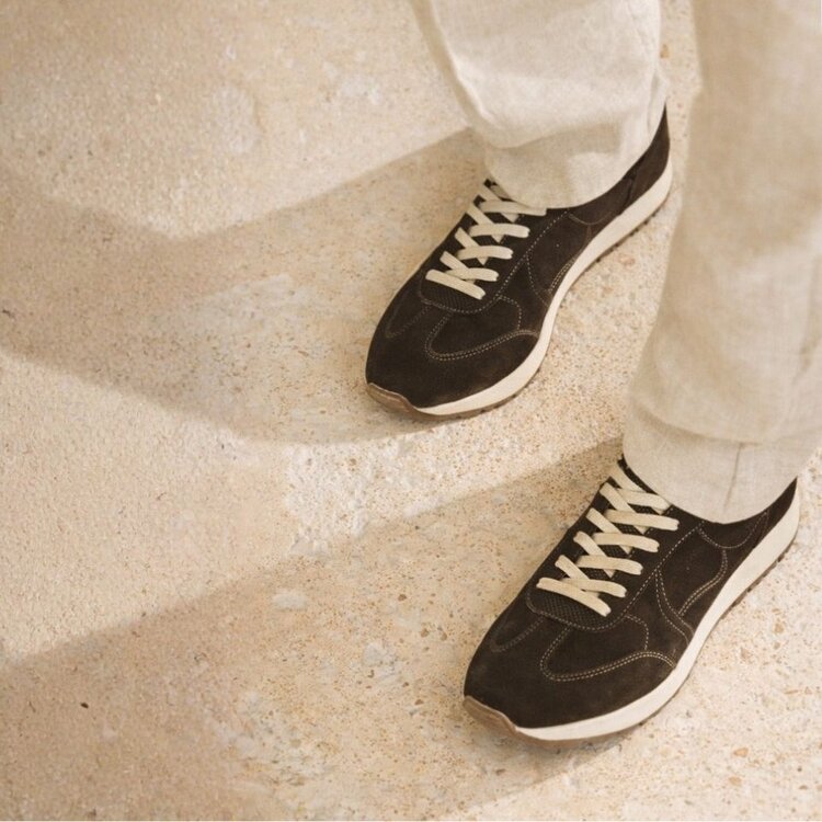 Ambiorix RIVARIOS SUEDE SENSO AFRICA 243 PANAMA MIEL